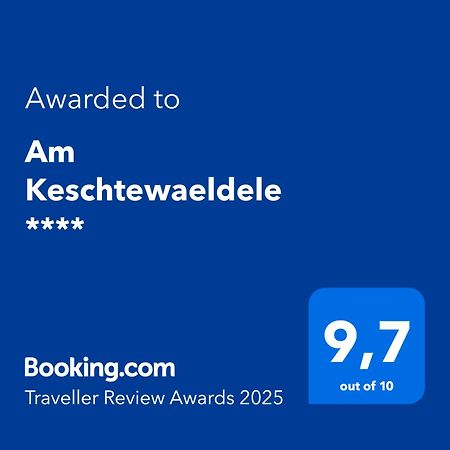 Am Keschtewaeldele **** Διαμέρισμα Forbach Εξωτερικό φωτογραφία